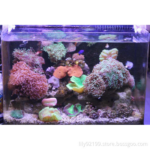 Herifi Led light